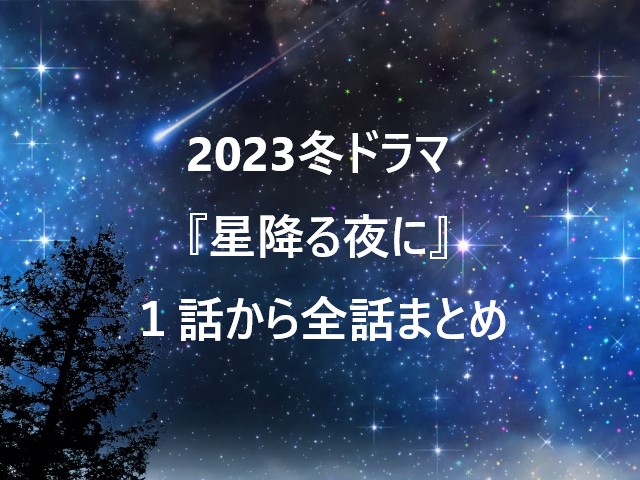 2023冬ドラマ『星降る夜に』１話から全話まとめ