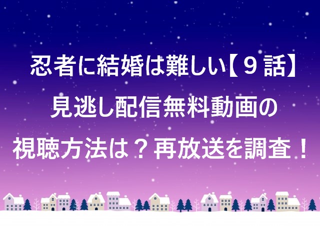 忍者に結婚は難しい【９話】見逃し配信無料動画の視聴方法は？再放送を調査！