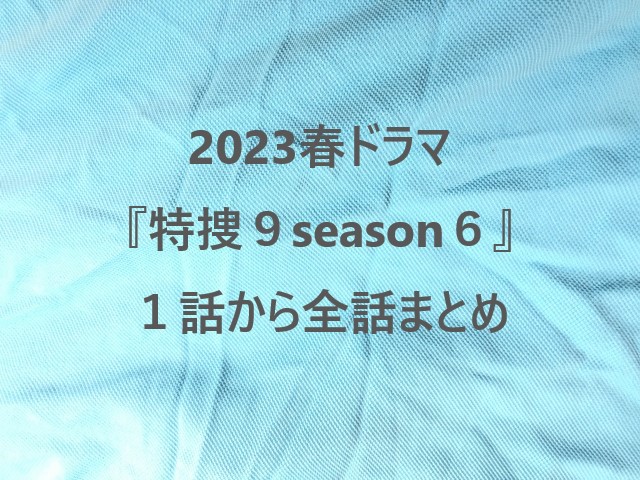 2023春ドラマ『特捜９season６』１話から全話まとめ