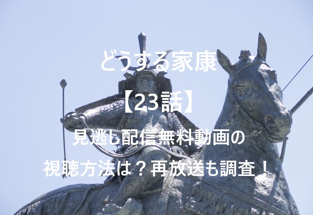 どうする家康【23話】見逃し配信無料動画の視聴方法は？再放送も調査！
