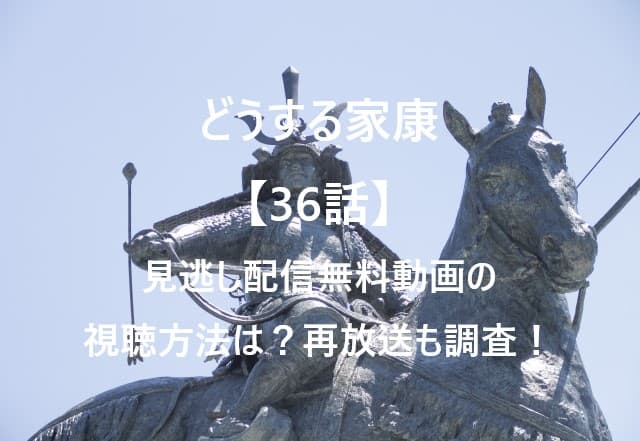 どうする家康【36話】見逃し配信無料動画の視聴方法は？再放送も調査！